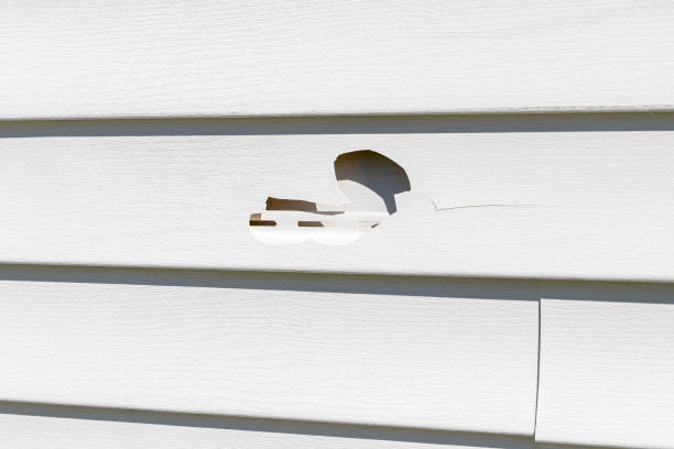 Best Demolition Debris Removal  in Four Bridges, OH